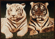 United Weavers Legends Tiger Colors Multi Rug - front view