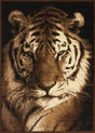 United Weavers Legends Tiger Portrait Multi Rug - front view