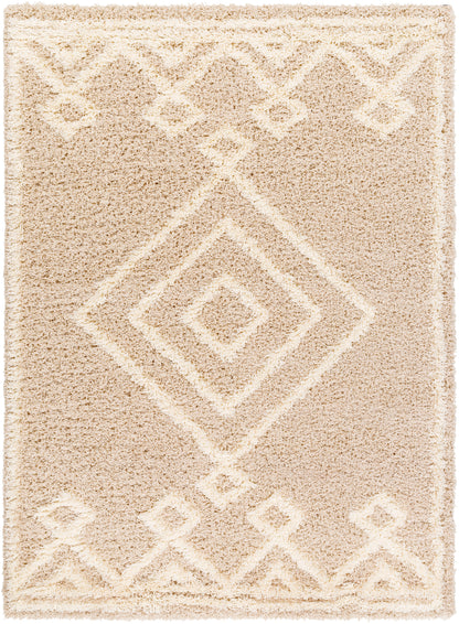 Surya Urban Shag Usg-2312 Beige, Ivory Area Rug