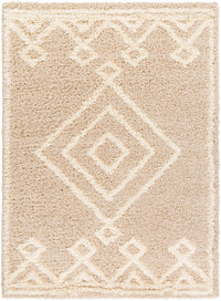 Surya Urban Shag Usg-2312 Beige, Ivory Area Rug