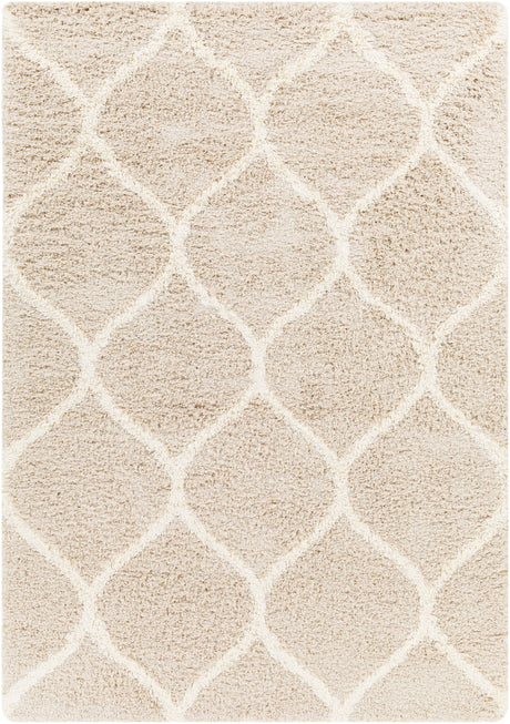 Surya Urban Shag Usg-2320 Beige Rug