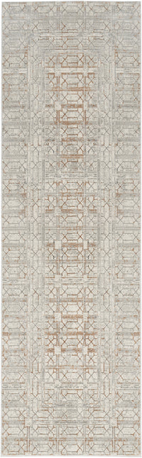 Nourison Desire Dsr07 Ivory Beige Area Rug