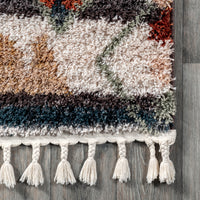 Nuloom Rosemarie Bohemian Ozfg01C Gray Area Rug