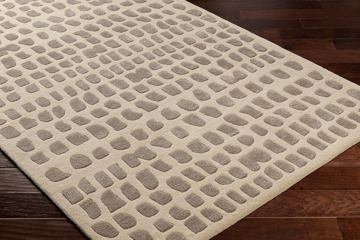Surya Vilnius Vns-2303 Light Beige, Gray Rug.