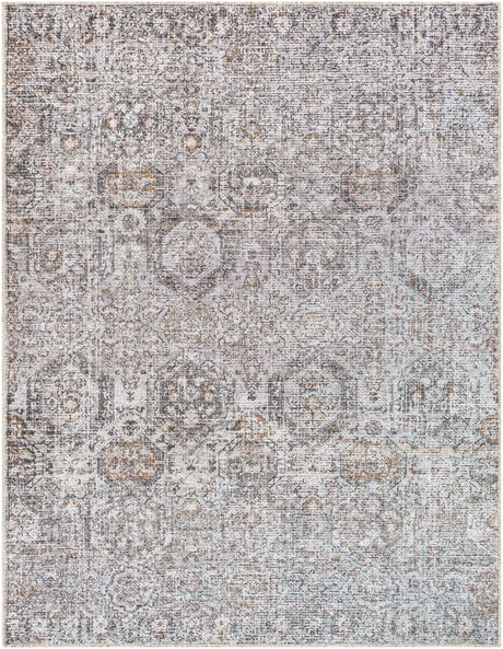 Surya Vinny Vny-2309 Light Gray, Black, Amber, Light Beige, Gray, White Rug.