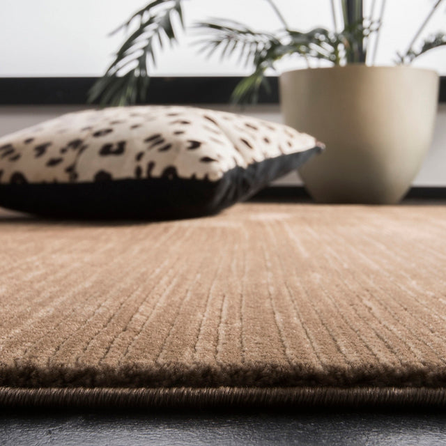 Safavieh Vision Vsn606C Light Brown Rug