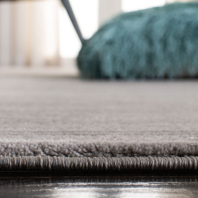Safavieh Vision Vsn606G Silver Rug