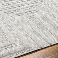 Surya West Palm Wpm-2304 Gray Area Rug