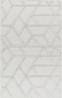 Surya West Palm Wpm-2305 Gray Area Rug