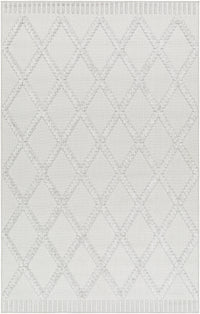 Surya West Palm Wpm-2306 Gray Area Rug