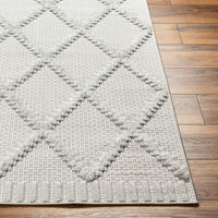 Surya West Palm Wpm-2306 Gray Area Rug