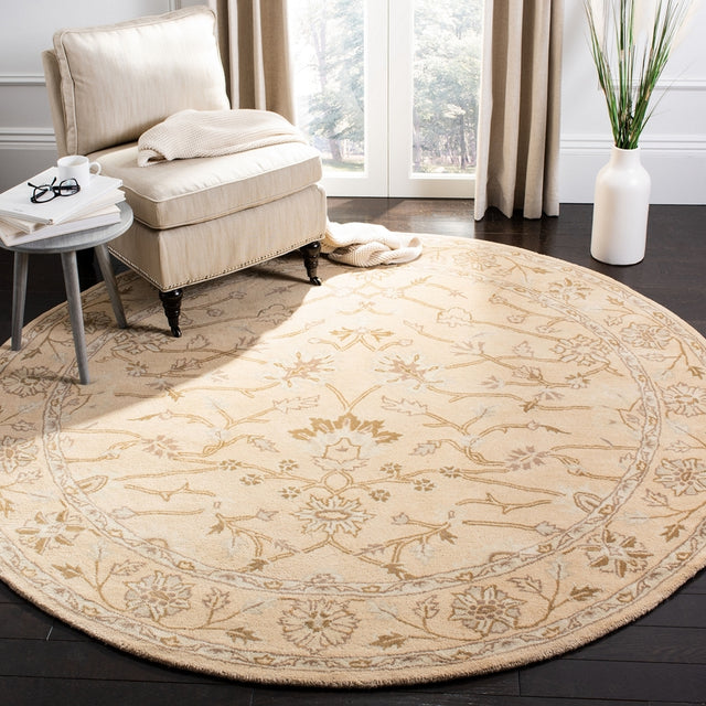 Safavieh Wyndham Wyd205A Light Gold / Light Gold Rugs