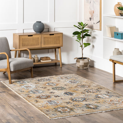 Nuloom Lisette Transitional Persian Bdsn25A Beige Area Rug