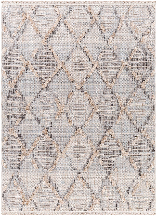 Surya Zaragoza Zrz-2311 Medium Gray, Light Beige, Cream, Charcoal, Light Gray Rug.