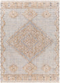 Surya Zaragoza Zrz-2312 Light Beige, Light Slate, Cream, Charcoal, Light Gray Rug.