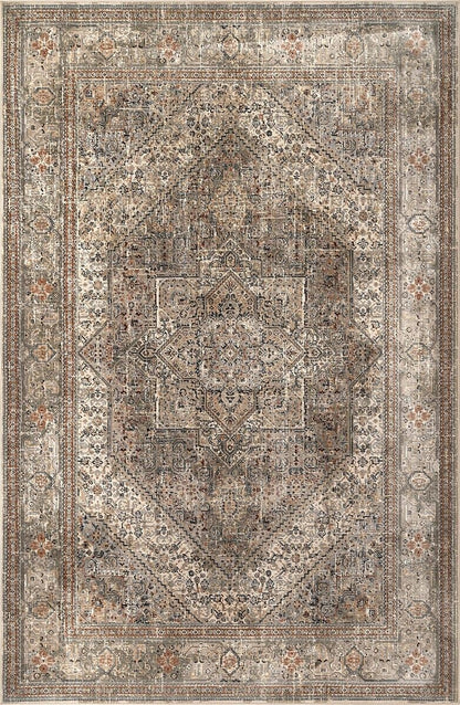 AreaRugs.com Nakra Fdxn63I Beige Vintage / Distressed Area Rug