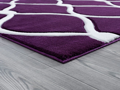 United Weavers Bristol Rodanthe Plum (2050-11582) Rugs.