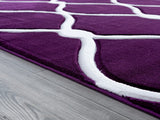 United Weavers Bristol Rodanthe Plum (2050-11582) Rugs.