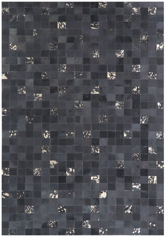 Capel Sundance 3674 Onyx Area Rug