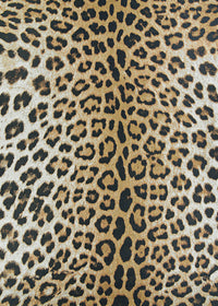 Couristan Dolce Amur Leopard 5750/0003 New Gold Area Rug