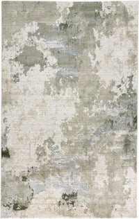 Feizy Prasad 3970F Ivory/Gray Area Rug