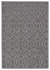 Feizy Akhari 3675F Gray Area Rug