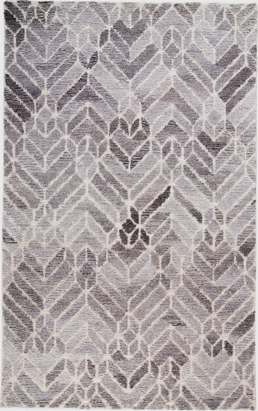 Feizy Asher 8769F Gray Area Rug