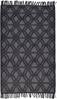 Feizy Phoenix 0807F Gray/Black Area Rug