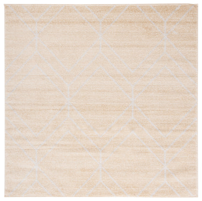 Safavieh Adirondack Adr241D Gold/Light Grey Area Rug