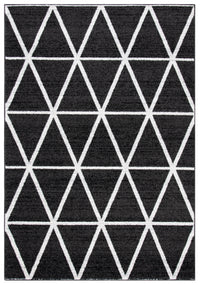 Safavieh Adirondack Adr262G Black/Ivory Area Rug