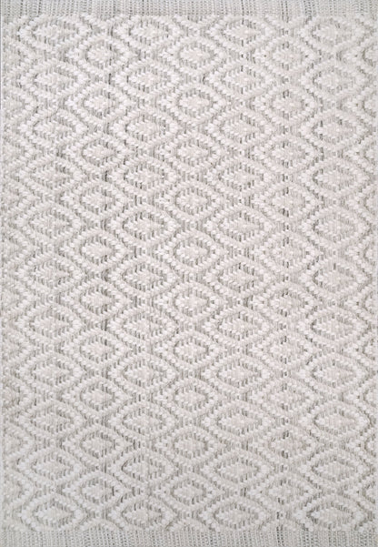 Dynamic Rugs Allegra 2987 Ivory/Silver Area Rug