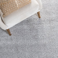 Safavieh August Shag Aug511F Light Grey Area Rug