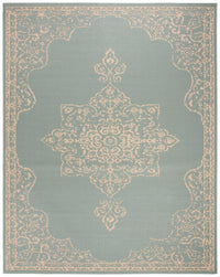 Safavieh Beach House Bhs180L Cream/Aqua Area Rug