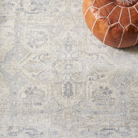 Safavieh Brentwood Bnt852D Ivory/Grey Area Rug