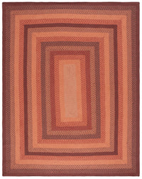 Safavieh Braided Brd651P Orange/Rust Area Rug