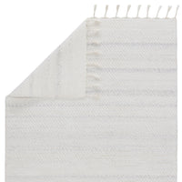 Jaipur Coronado Encanto Cnd02 White/Light Gray Area Rug