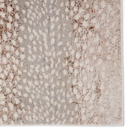 Jaipur Catalyst Axis Cty14 Light Gray/Brown Area Rug