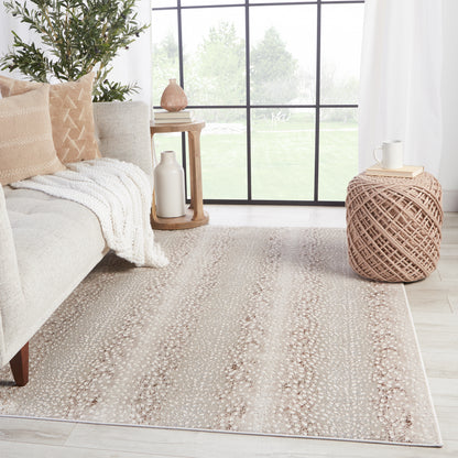 Jaipur Catalyst Axis Cty14 Light Gray/Brown Area Rug