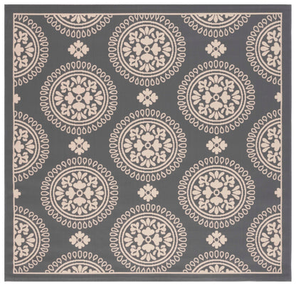 Safavieh Courtyard Cy6716 Grey Area Rug