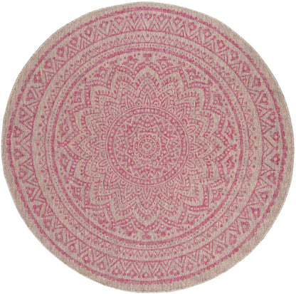 Safavieh Courtyard Cy8734 Light Grey/Fuchsia Area Rug