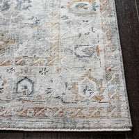 Safavieh Dream Drm727A Ivory/Light Grey Area Rug