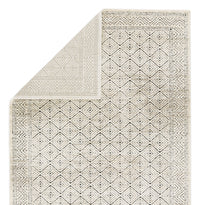 Jaipur Emrys Yadira Emr02 Cream Area Rug