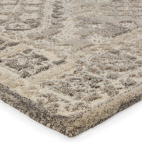 Jaipur Farryn Nesso Far02 Gray Area Rug