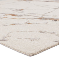 Jaipur Fragment Shattered Frg01 Light Gray Area Rug