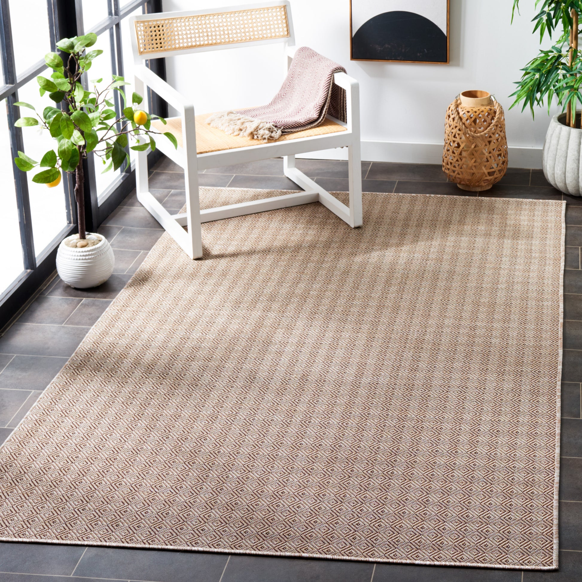 Safavieh Hampton Htn230T Brown Area Rug