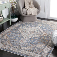 Safavieh Jasmine Jsm312M Blue/Grey Area Rug