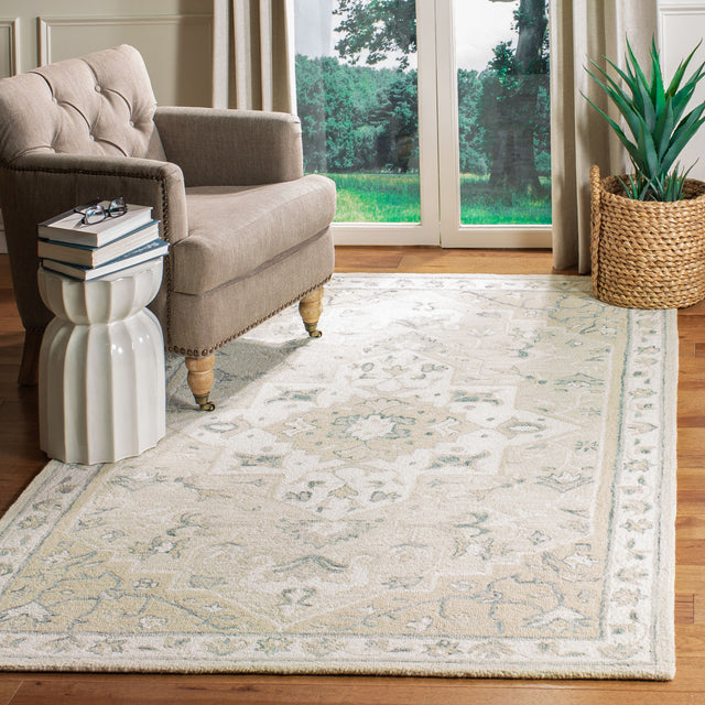 Safavieh Micro-Loop Mlp505B Beige/Ivory Rugs.