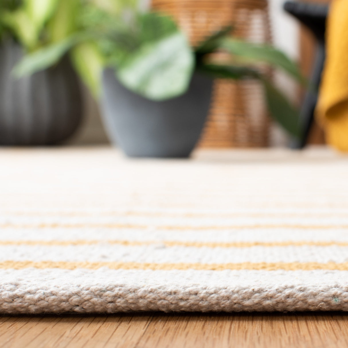 Safavieh Montauk Mtk313C Ivory/Gold Rugs.
