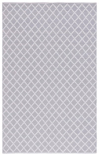 Safavieh Montauk Mtk706G Light Grey/Ivory Area Rug