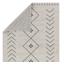 Jaipur Nadine Taos Ndn01 Cream Area Rug